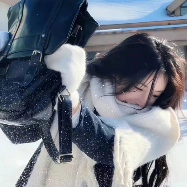 猎头行动